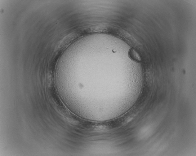 X0000074320741200609152031