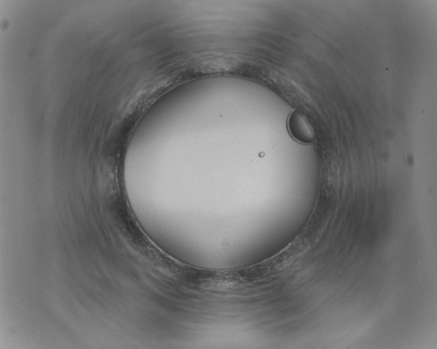 X0000074320743200609152031