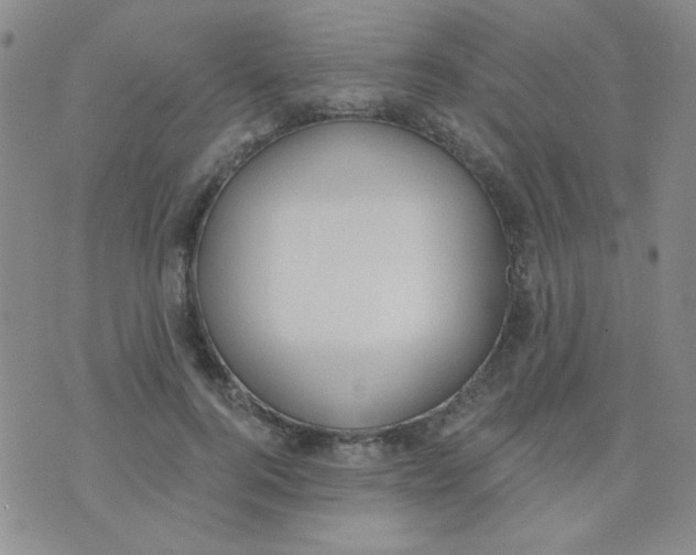 X0000074320744200609152031