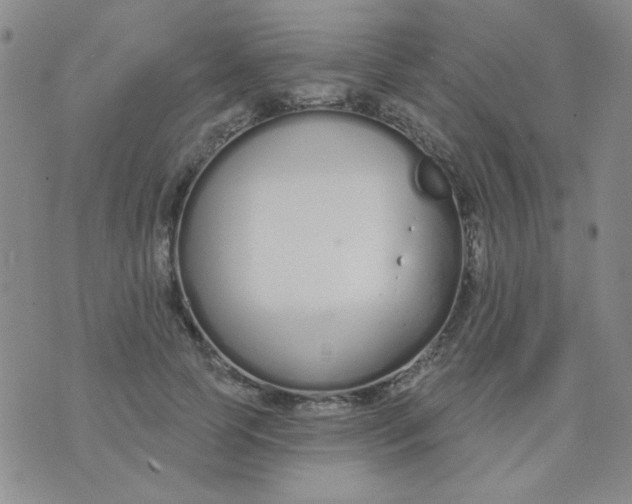 X0000074320745200609152031