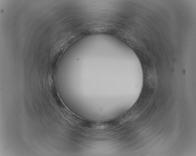 X0000074320746200609152031