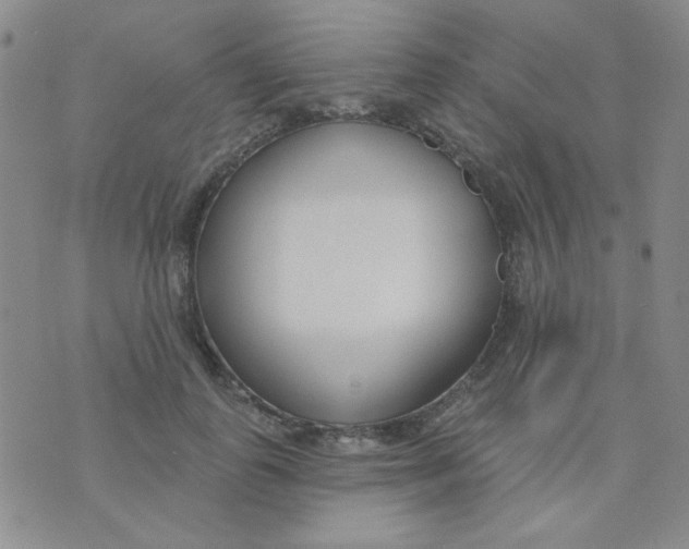 X0000074320747200609152031