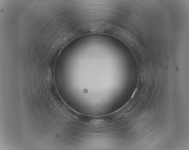 X0000074320748200609152031