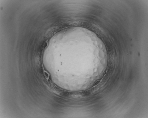 X0000074320749200609152031