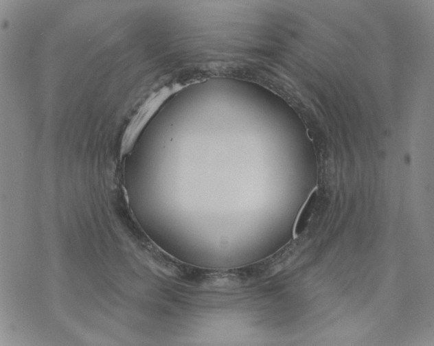 X0000074320750200609152031