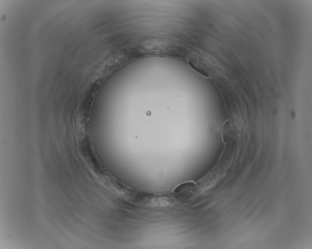 X0000074320751200609152031