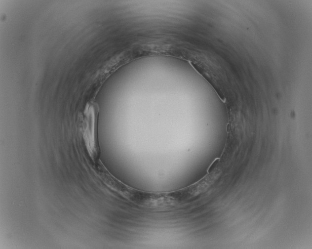 X0000074320752200609152031