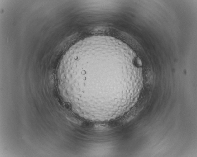 X0000074320753200609152031