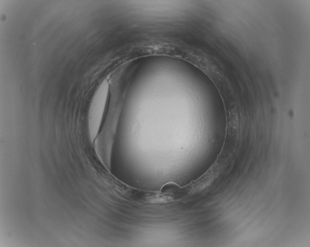 X0000074320754200609152031