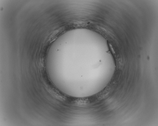 X0000074320756200609152032