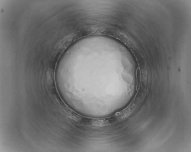 X0000074320757200609152032