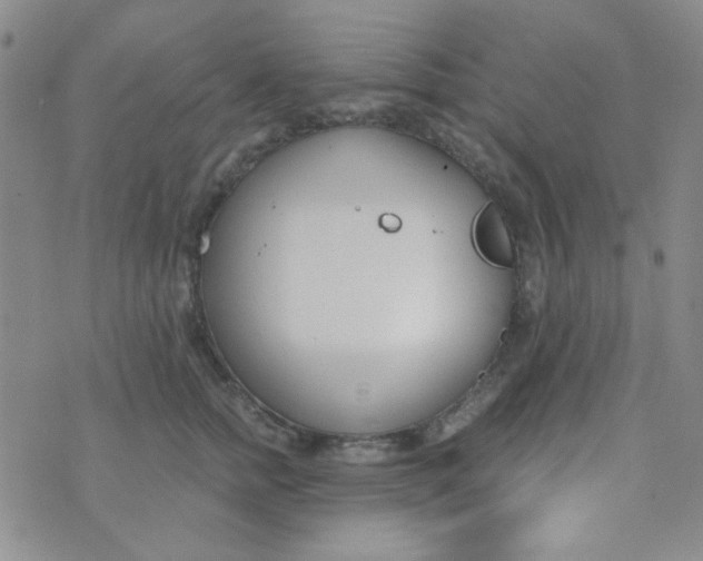 X0000074320758200609152032