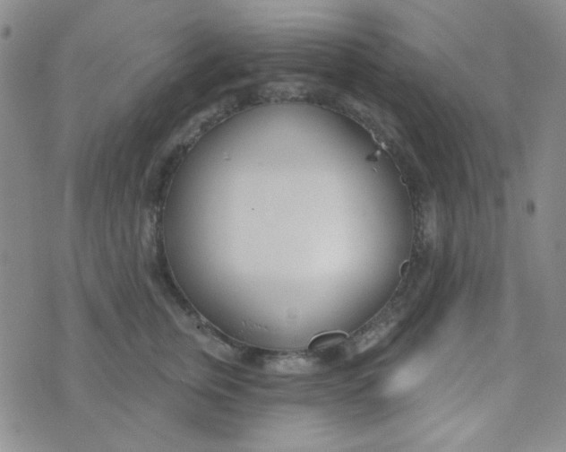 X0000074320759200609152032