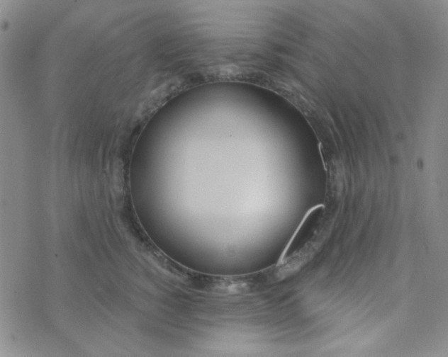 X0000074320760200609152032