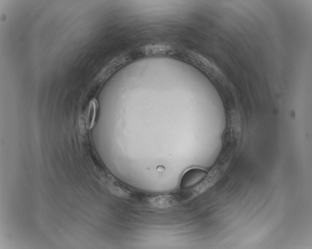 X0000074320761200609152032