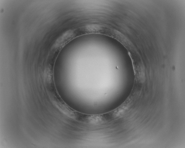 X0000074320762200609152032