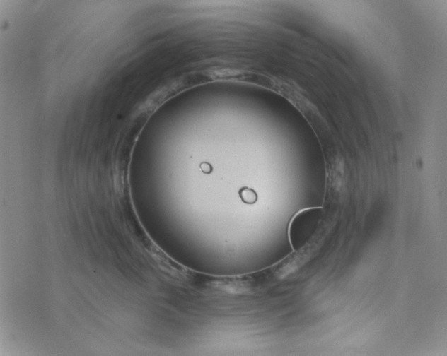 X0000074320763200609152032