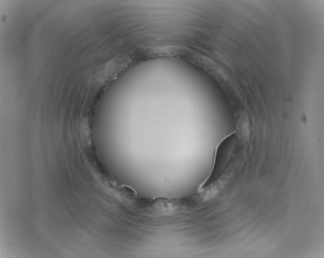 X0000074320764200609152032