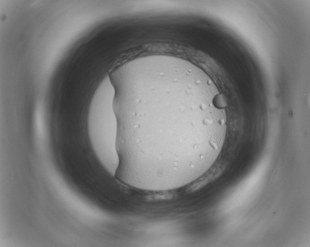 X0000074320765200609152032