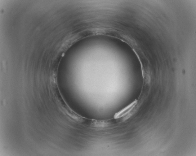 X0000074320766200609152032