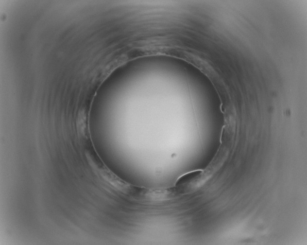 X0000074320767200609152032