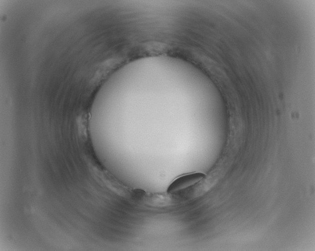 X0000074320768200609152032