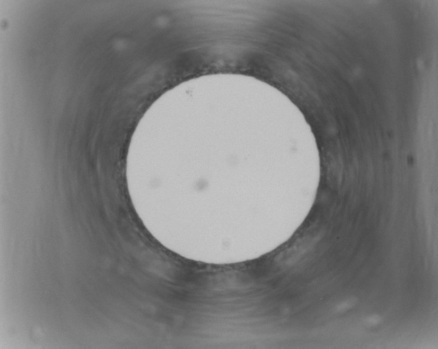 X0000074320769200609152031