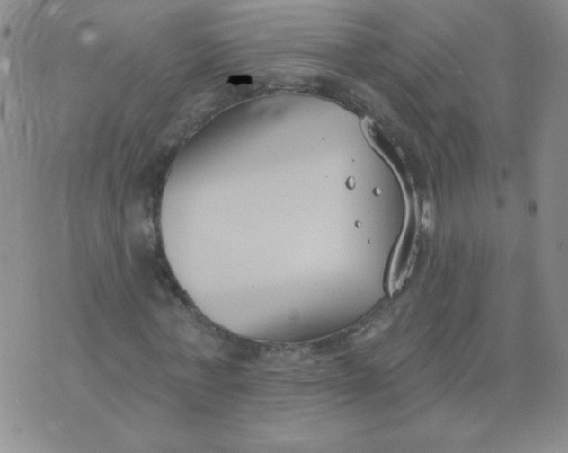 X0000074320771200609152031