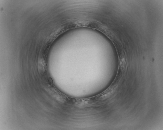 X0000074320772200609152031