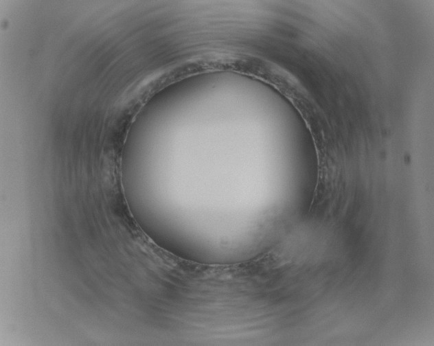 X0000074320773200609152031