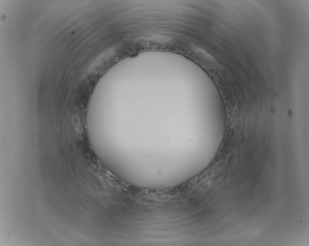 X0000074320774200609152031