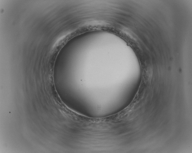 X0000074320775200609152031