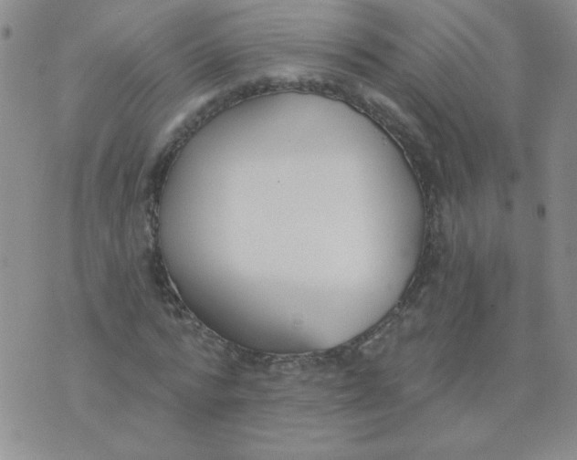 X0000074320776200609152031