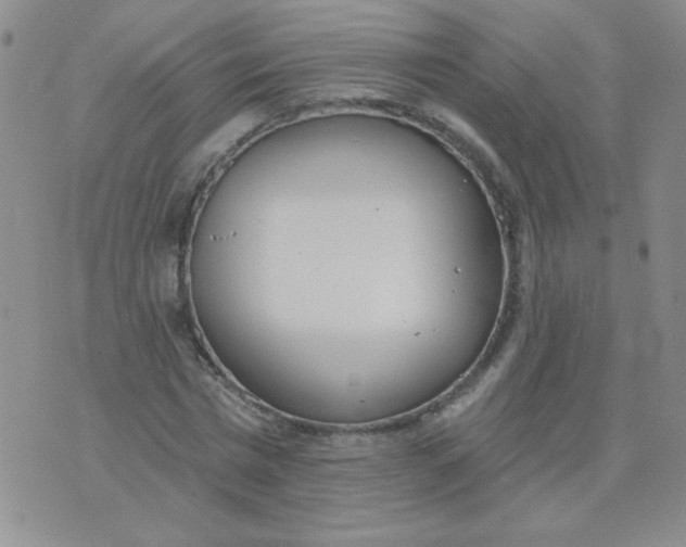 X0000074320777200609152031