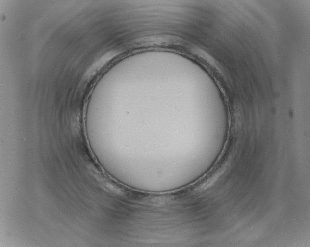 X0000074320778200609152031