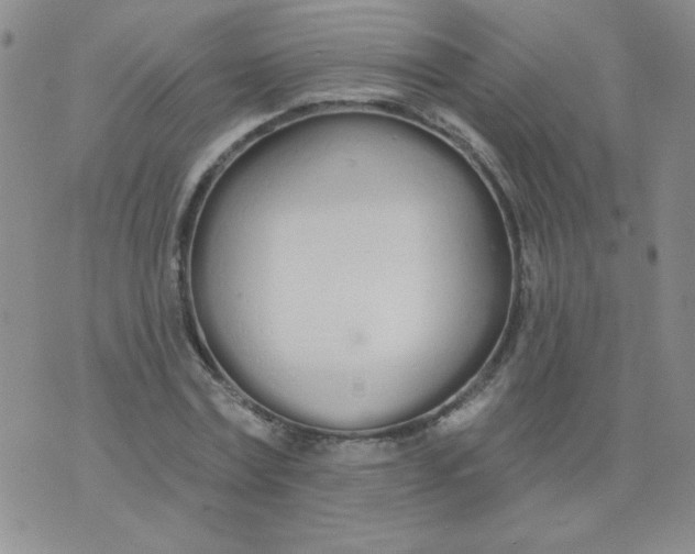 X0000074320779200609152031