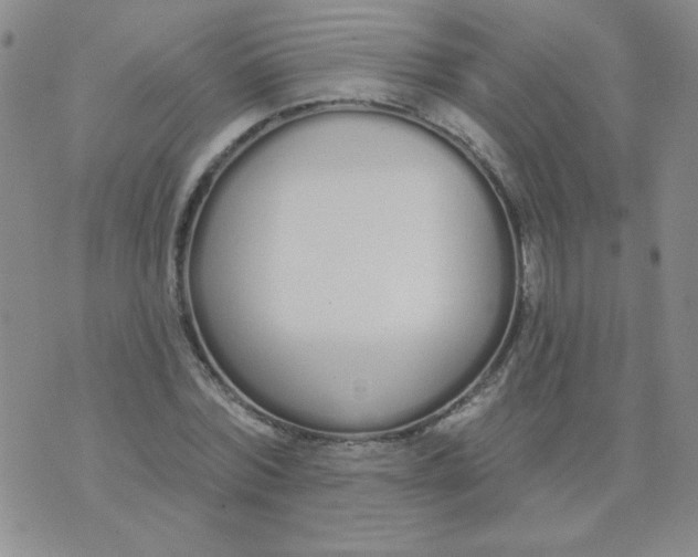 X0000074320780200609152031