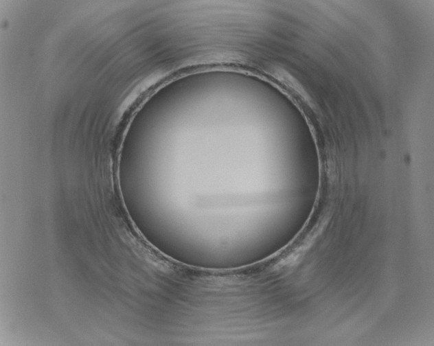 X0000074320781200609152031