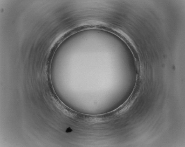 X0000074320783200609152031