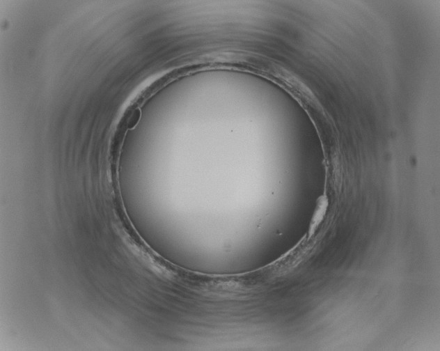 X0000074320784200609152031