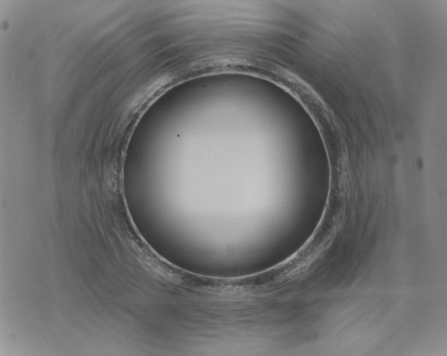 X0000074320785200609152031