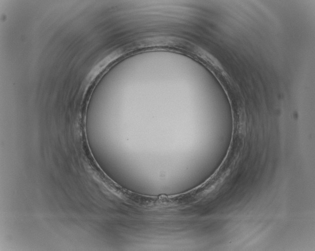 X0000074320786200609152031