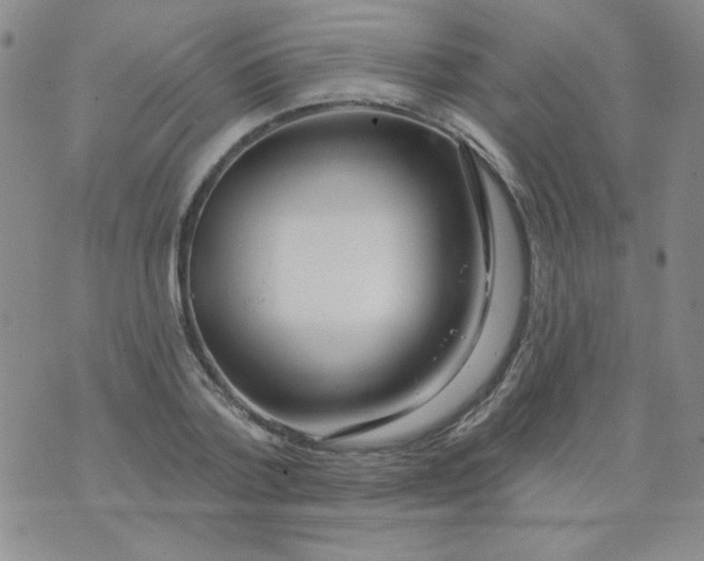 X0000074320788200609152031