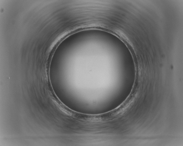 X0000074320789200609152031