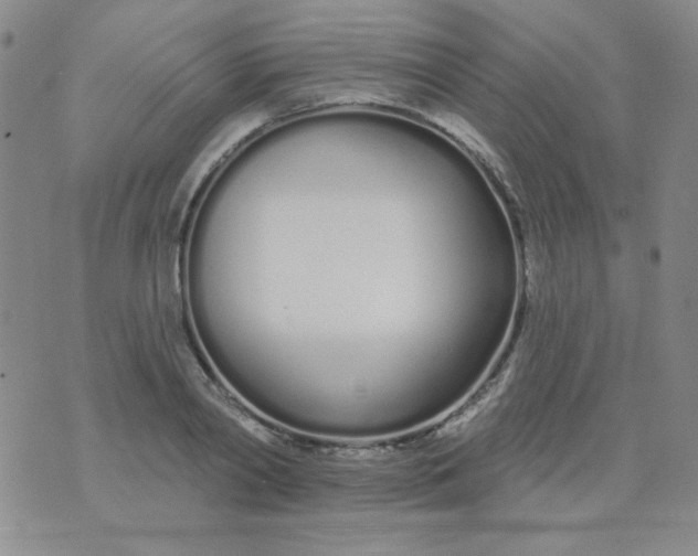 X0000074320790200609152031