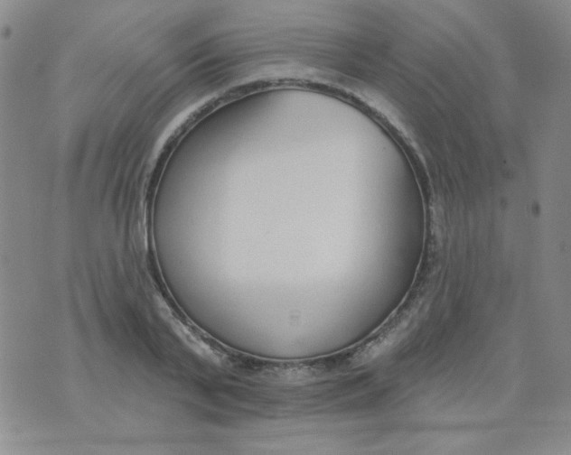 X0000074320791200609152031