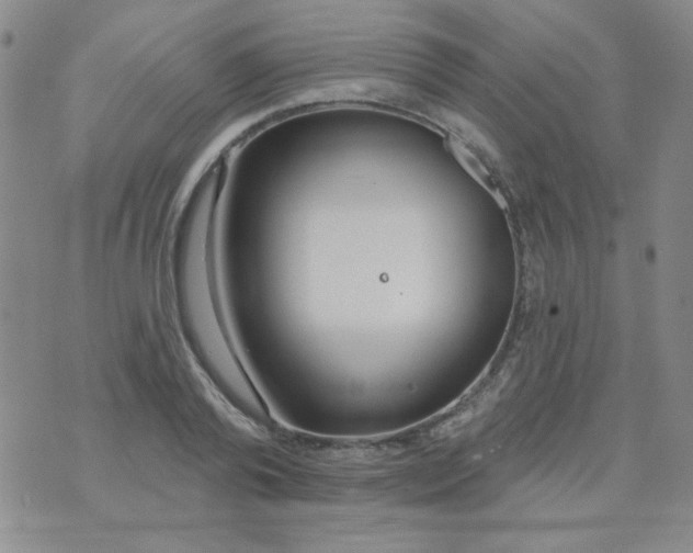 X0000074320792200609152031