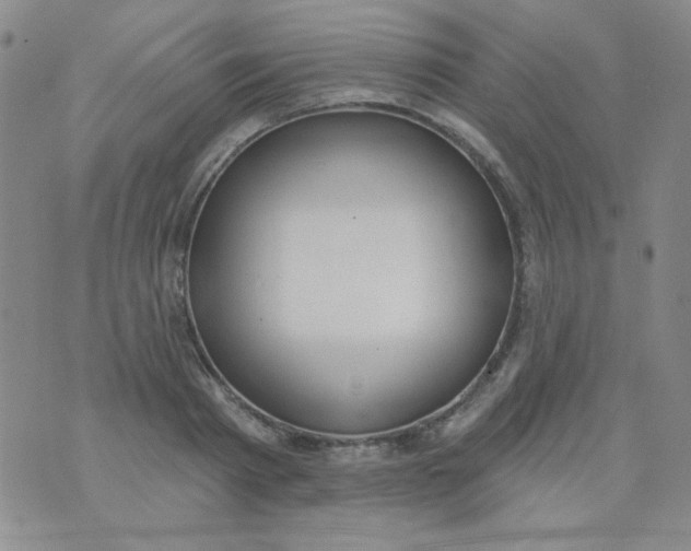 X0000074320793200609152031