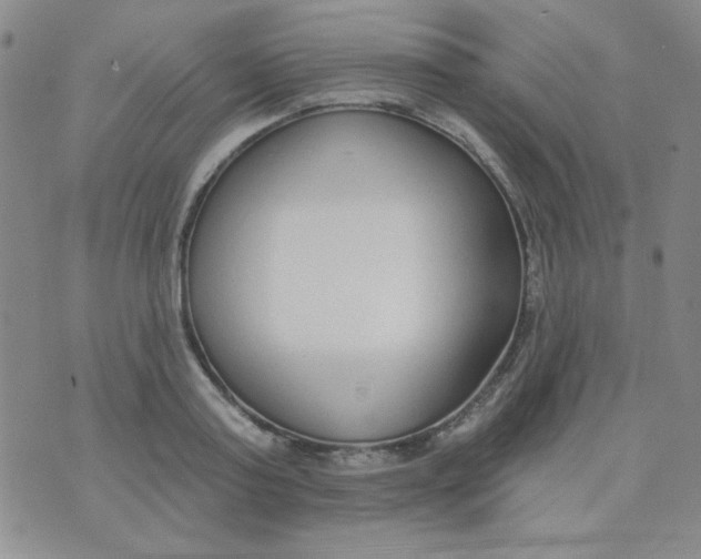 X0000074320795200609152030