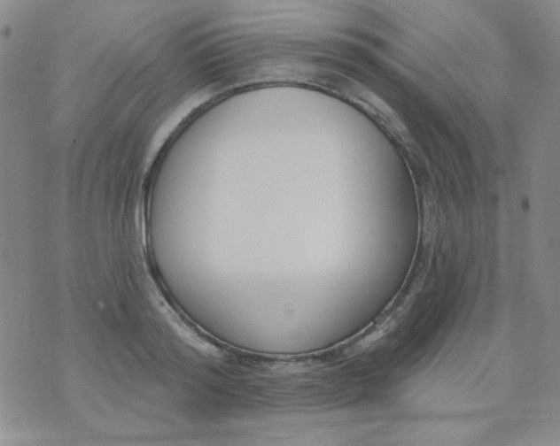 X0000074320796200609152030